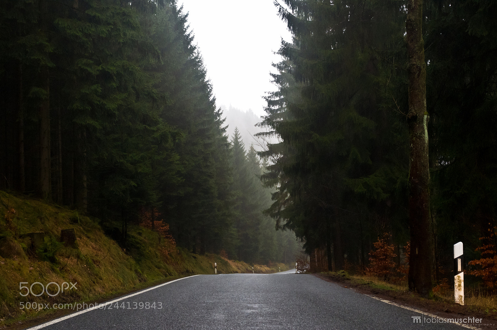 Pentax K-x sample photo. On the road photography