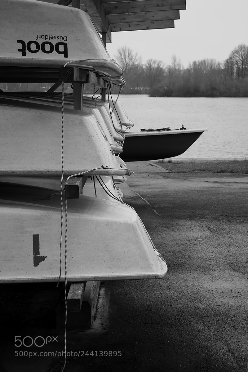 Panasonic Lumix DMC-GX8 sample photo. The runaway ... photography