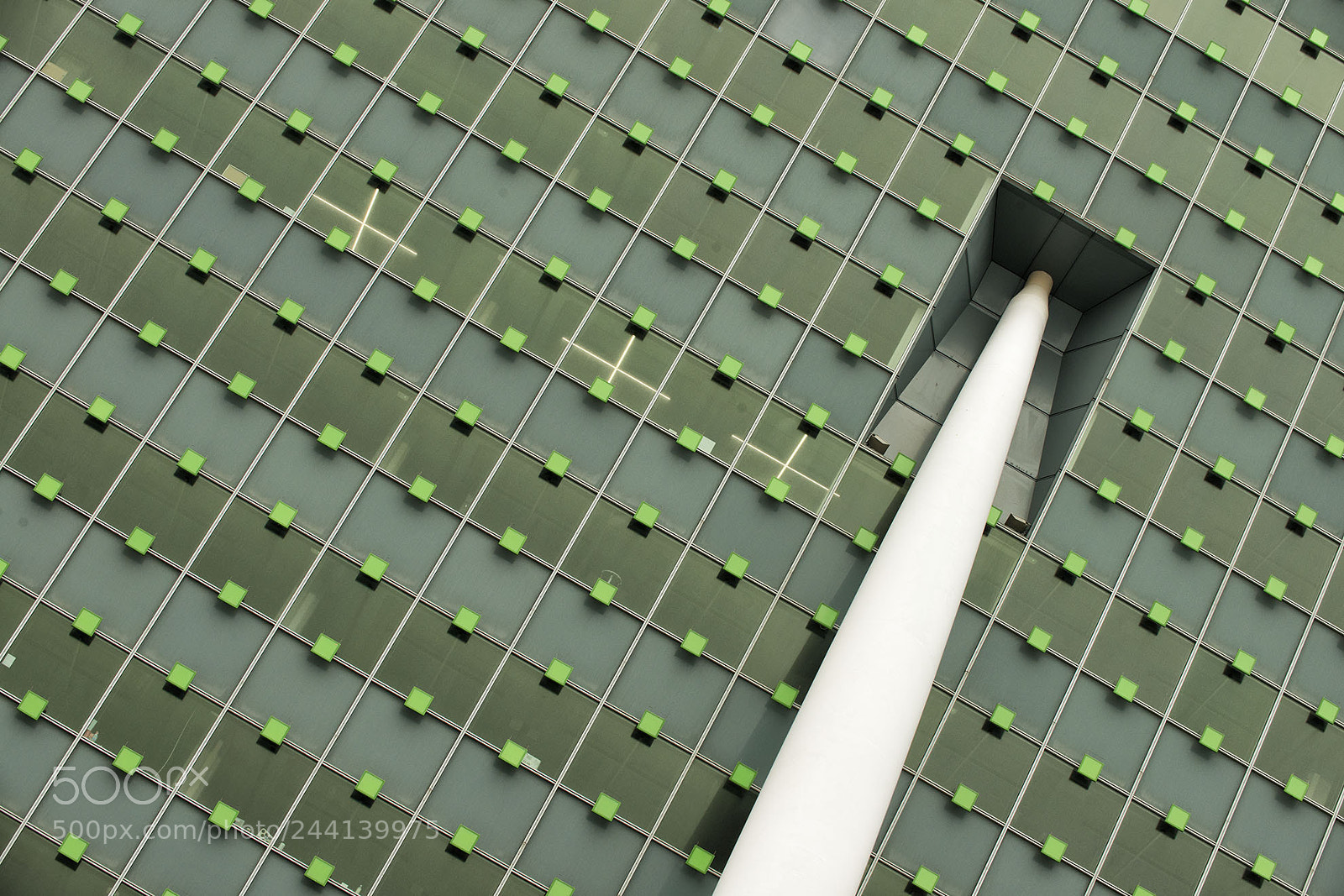 Nikon D800 sample photo. Rotterdam #01 photography