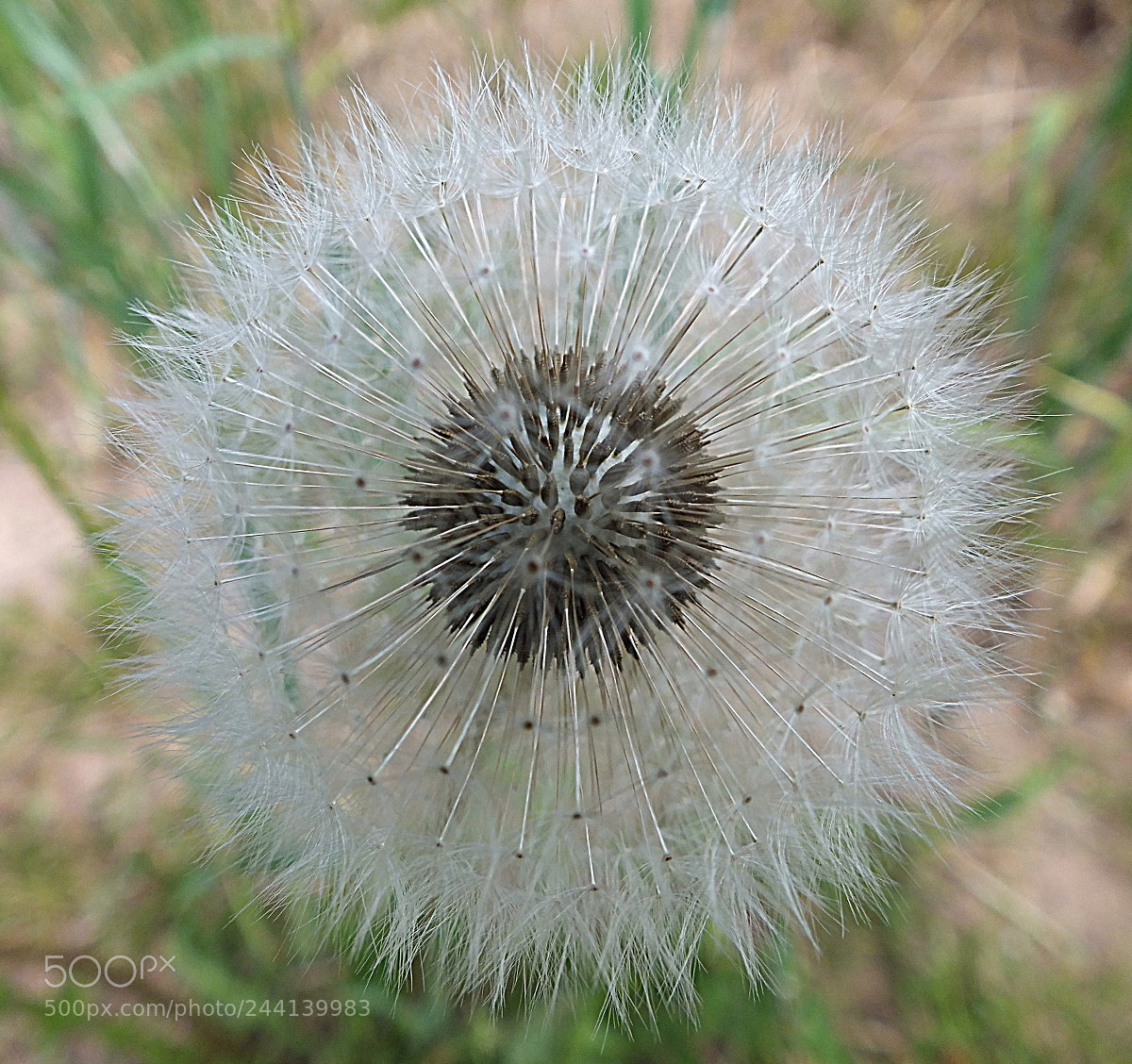 FujiFilm FinePix HS20 EXR (FinePix HS22 EXR) sample photo. Vollkommen photography