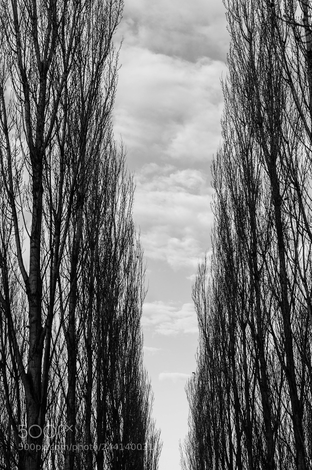 Nikon D3200 sample photo. Vanishing point photography