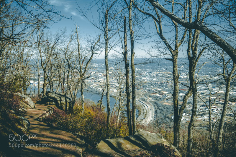 Nikon D800 sample photo. 1.jpg photography