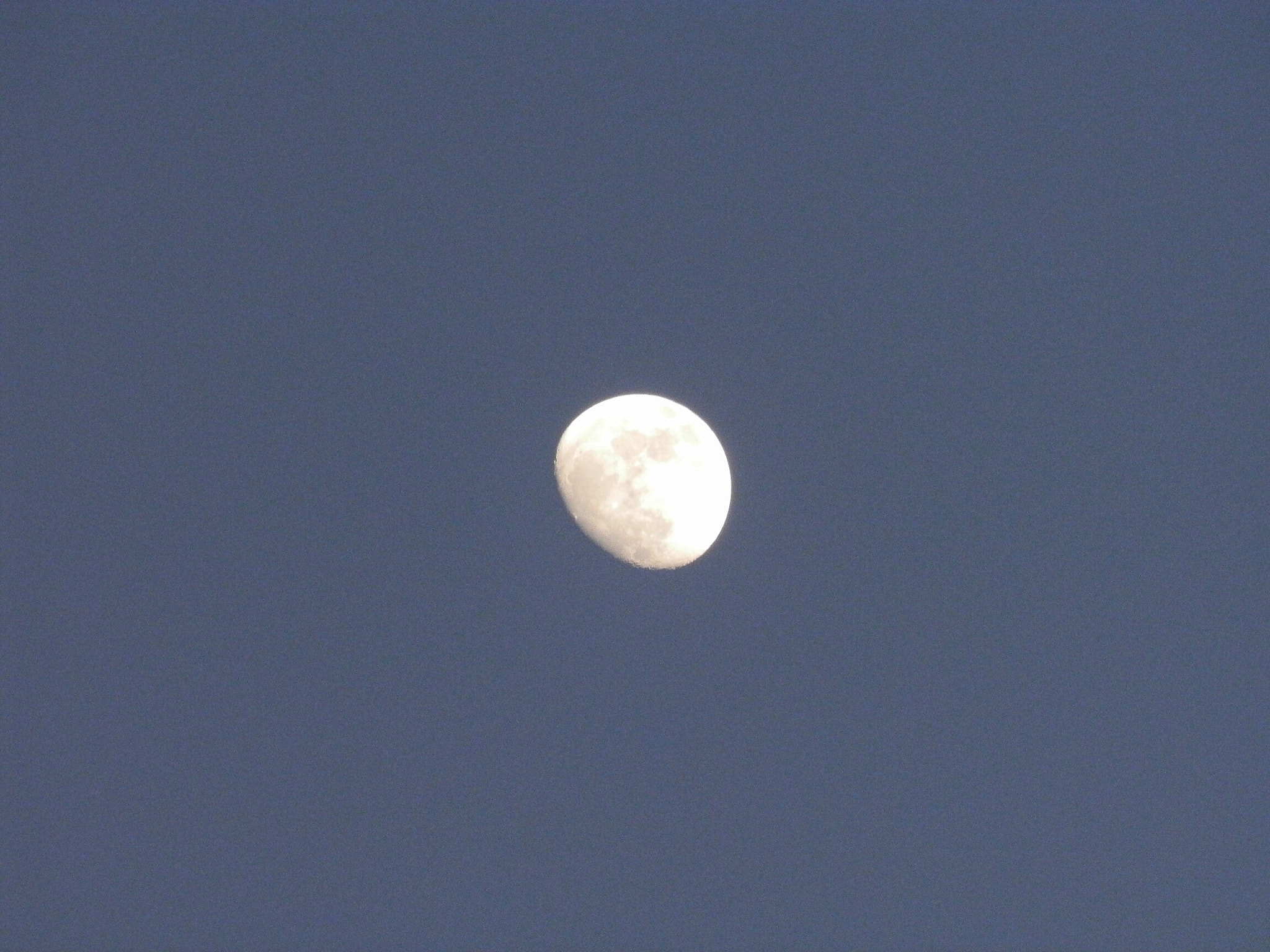 Olympus SP-620UZ sample photo