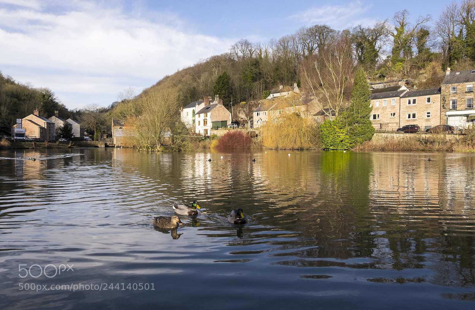 Fujifilm X-T1 sample photo. The village pond at photography