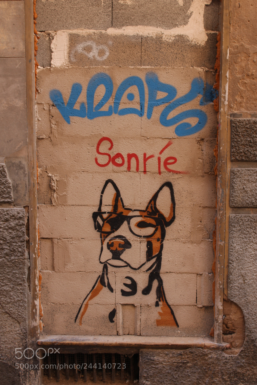 Canon EOS 650D (EOS Rebel T4i / EOS Kiss X6i) sample photo. Barcelona street art photography
