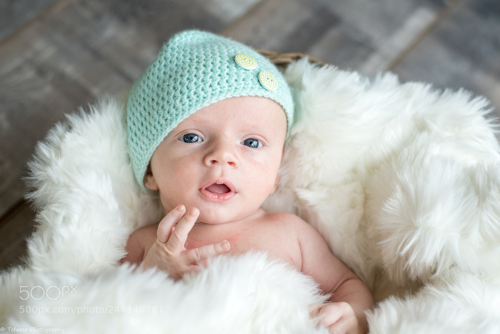 Nikon D610 sample photo. Newborn photography