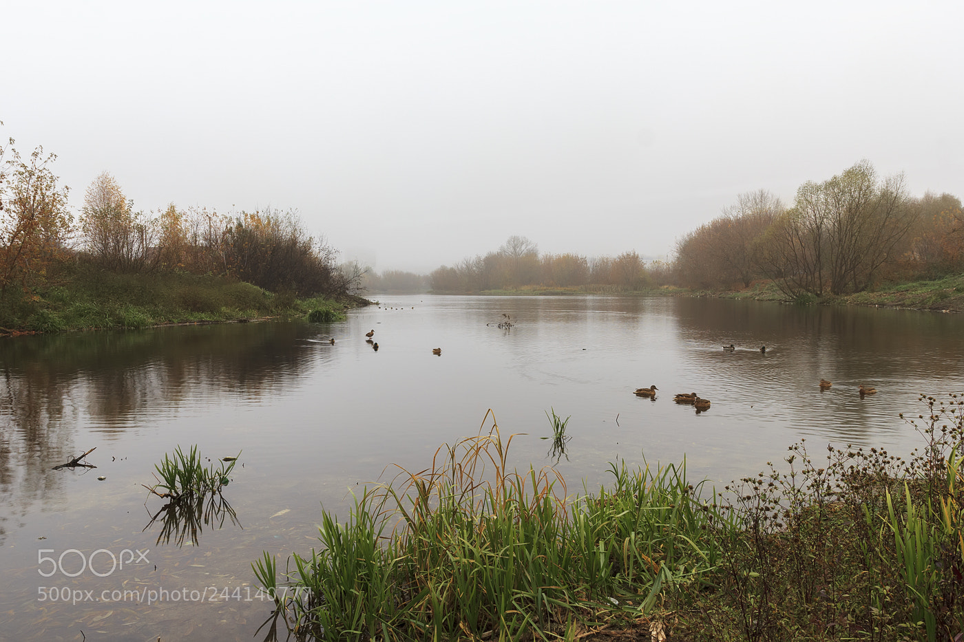 Canon EOS 60D sample photo. Gloomy day photography