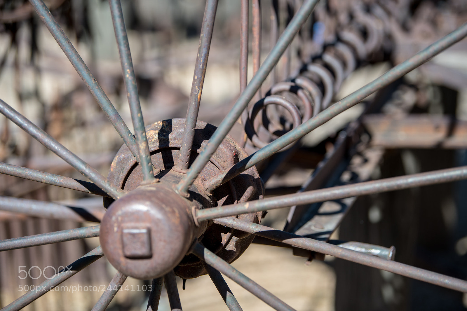 Nikon D850 sample photo. _8500359.jpg photography