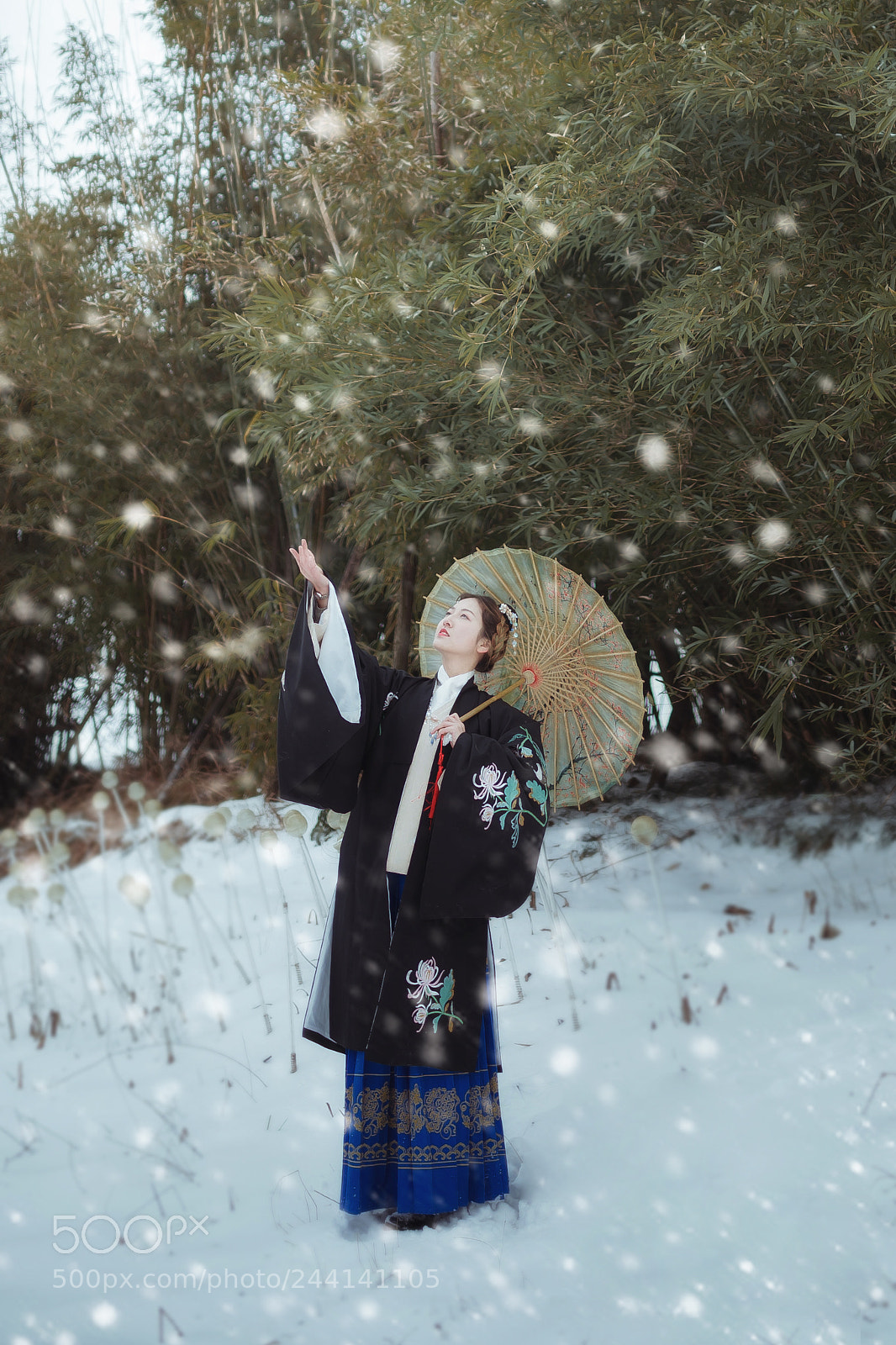 Canon EOS-1D X Mark II sample photo. Untitled photography