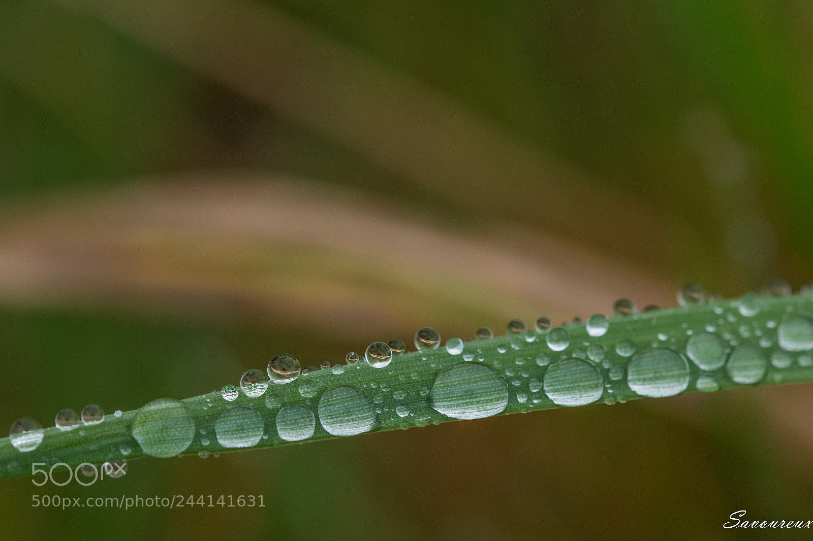 Nikon D5500 sample photo. Jour de pluie photography