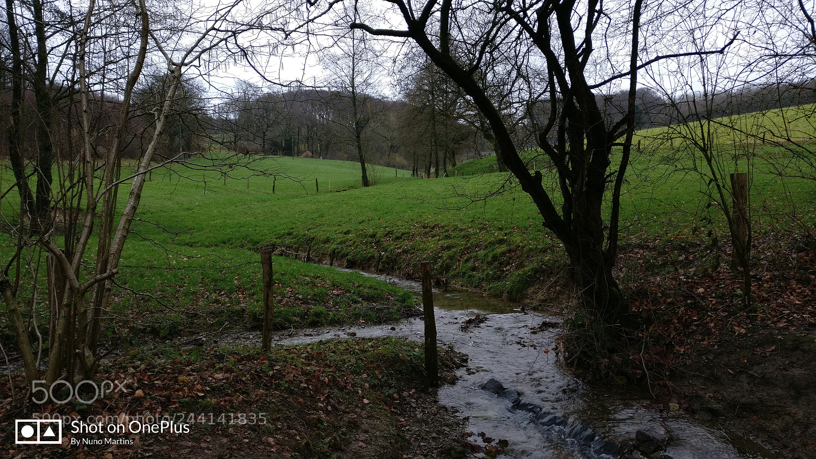 OnePlus A3003 sample photo. Trilhos photography