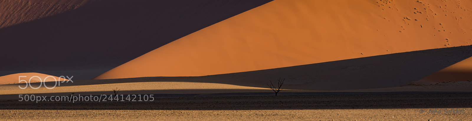 Nikon D810 sample photo. Shades of sossusvlei namibia photography