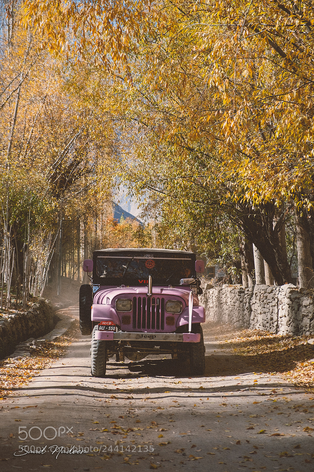Fujifilm X-T10 sample photo. Hunza-nagar road, nagar, gilgit photography