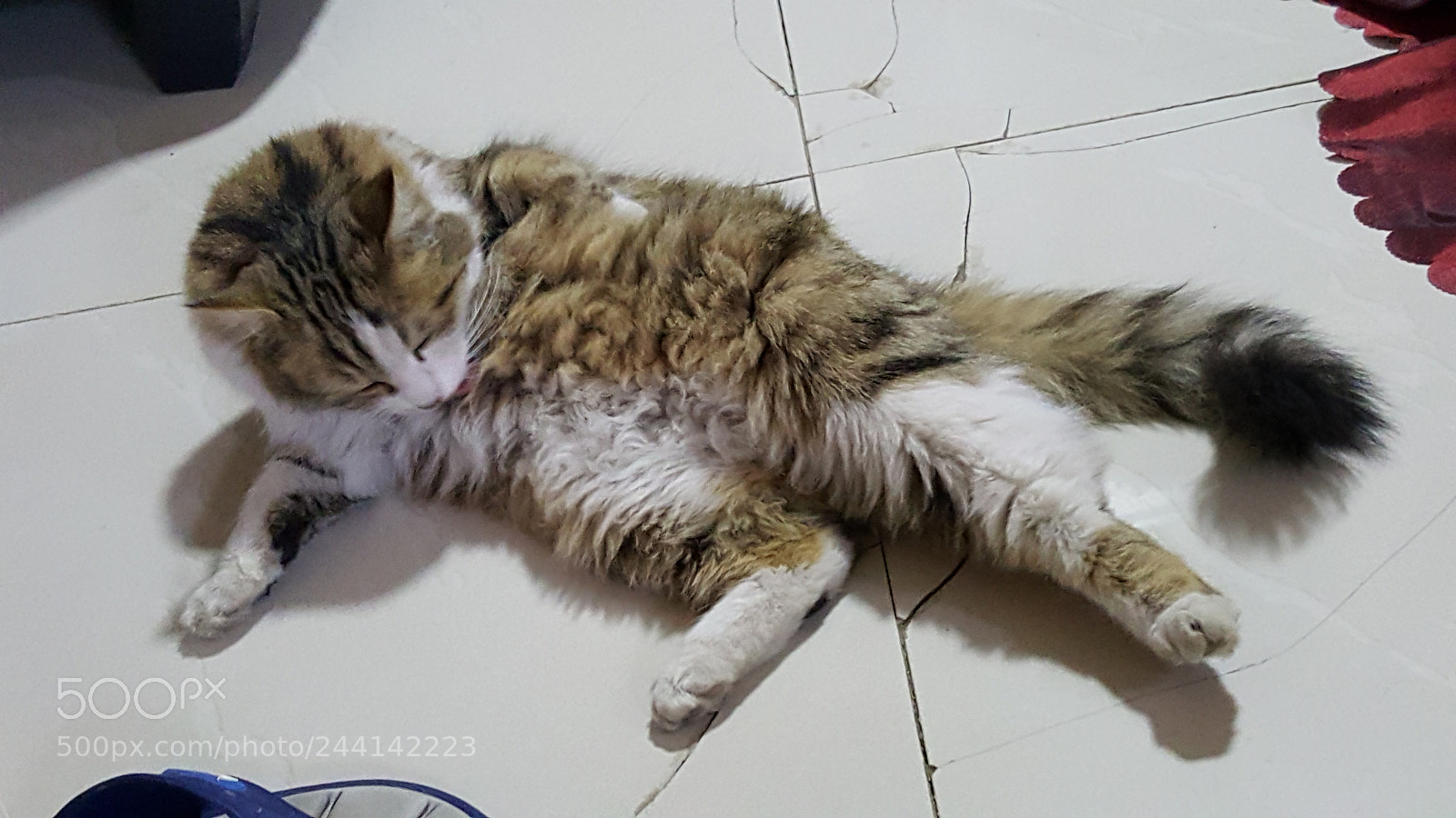 Samsung GALAXY S6 edge sample photo. Tamara :bath time photography