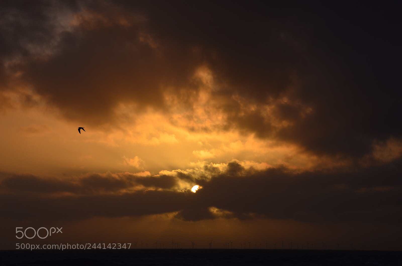 Nikon D5100 sample photo. Sunset blavand photography