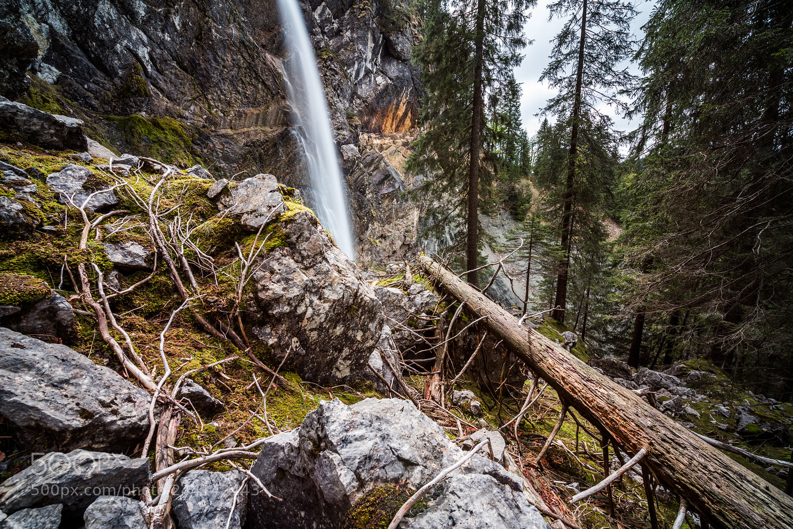 Nikon D810 sample photo. [ into the wild ] photography