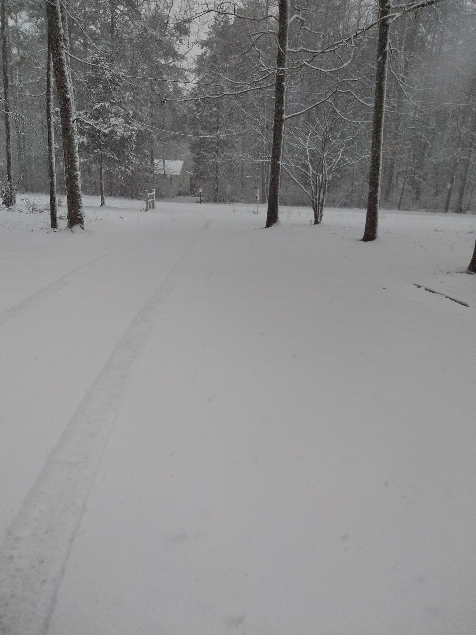 ZTE BOLTON sample photo. Cozy winter carolina's photography