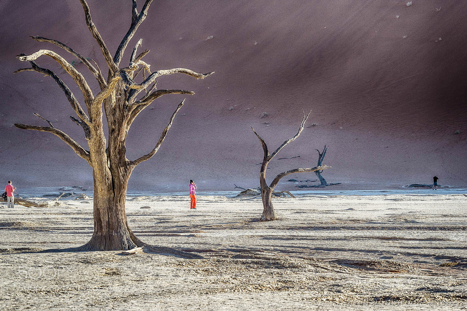 Nikon D3S sample photo. Les intrus dune deadvlei photography