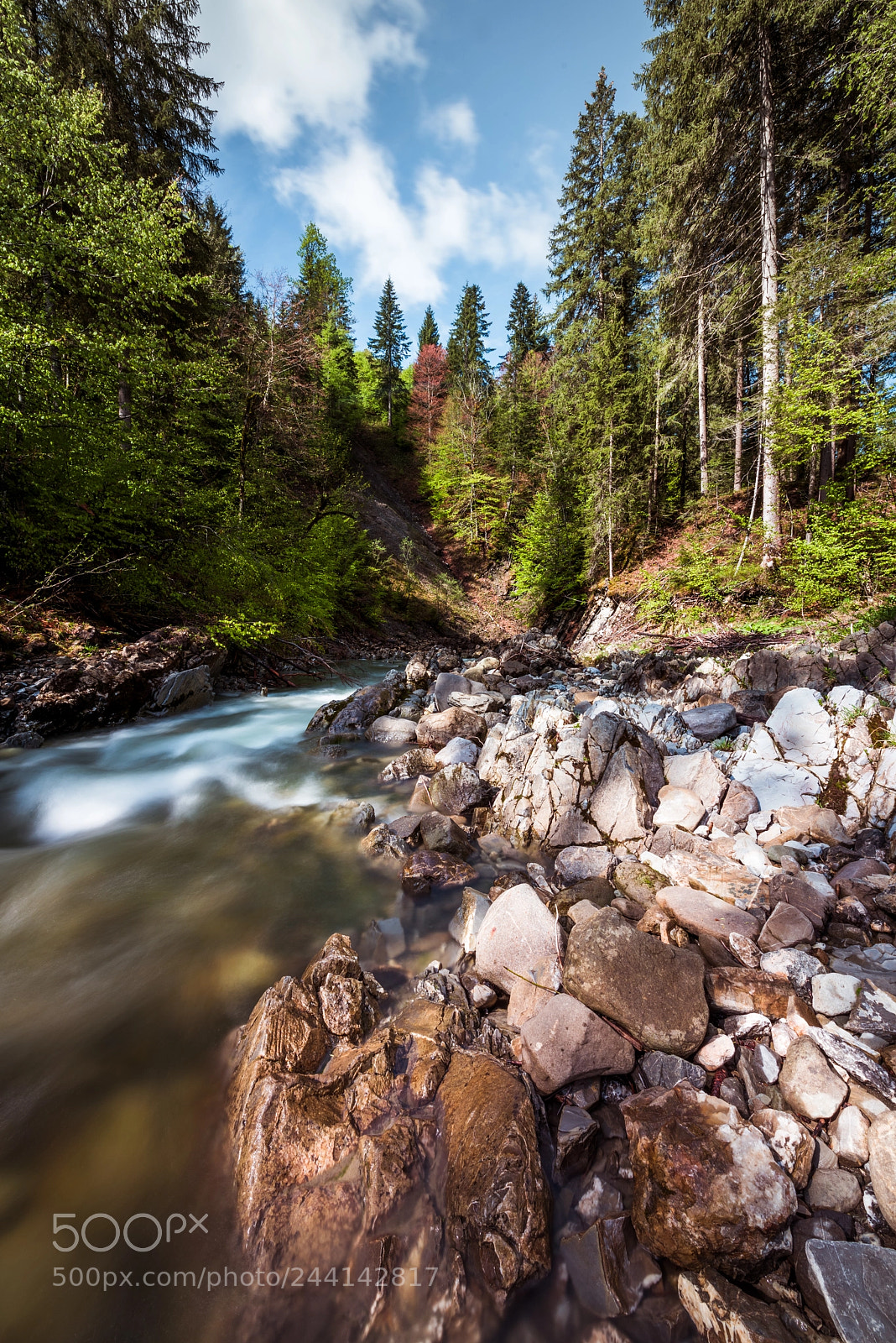 Nikon D810 sample photo. [ beautiful day ] photography