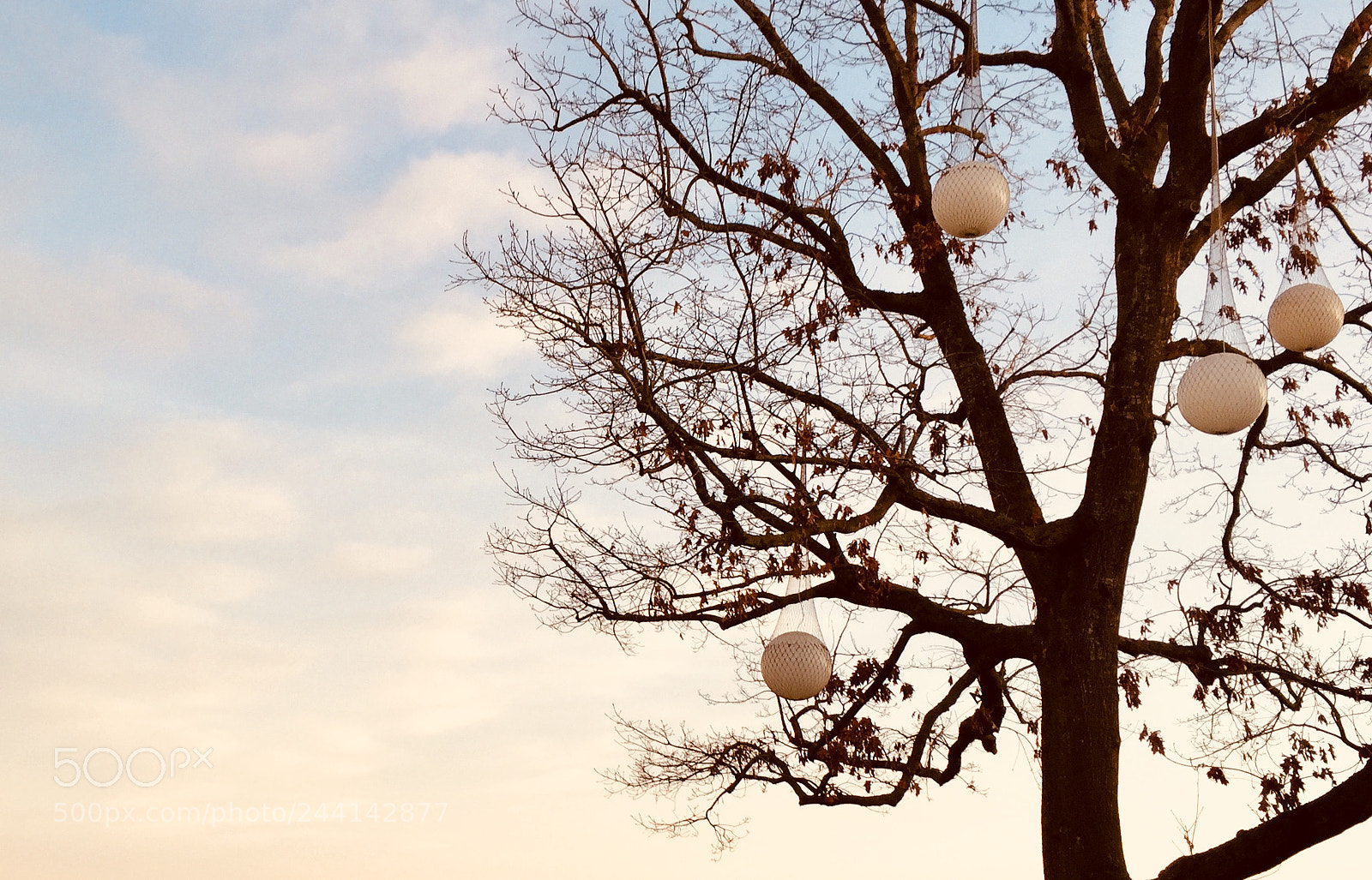 Apple iPhone 6 sample photo. Imagining photography