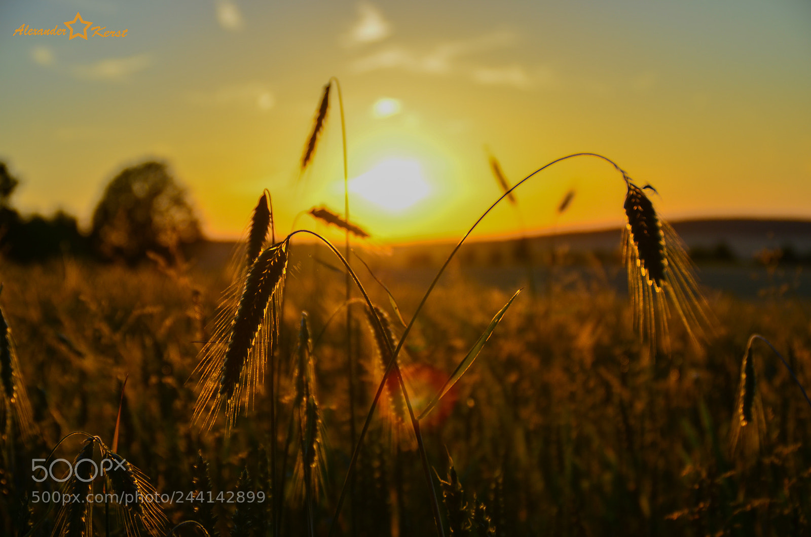 Nikon D5100 sample photo. Sunset 2 photography