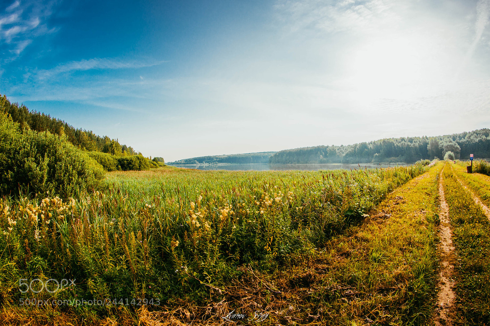 Nikon D7200 sample photo. Road photography