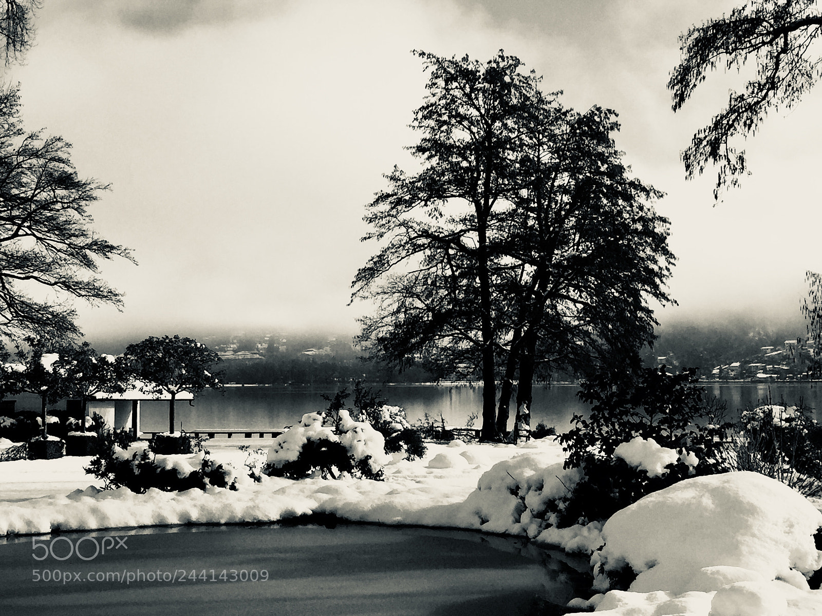 Apple iPhone 6 sample photo. Winter time... photography