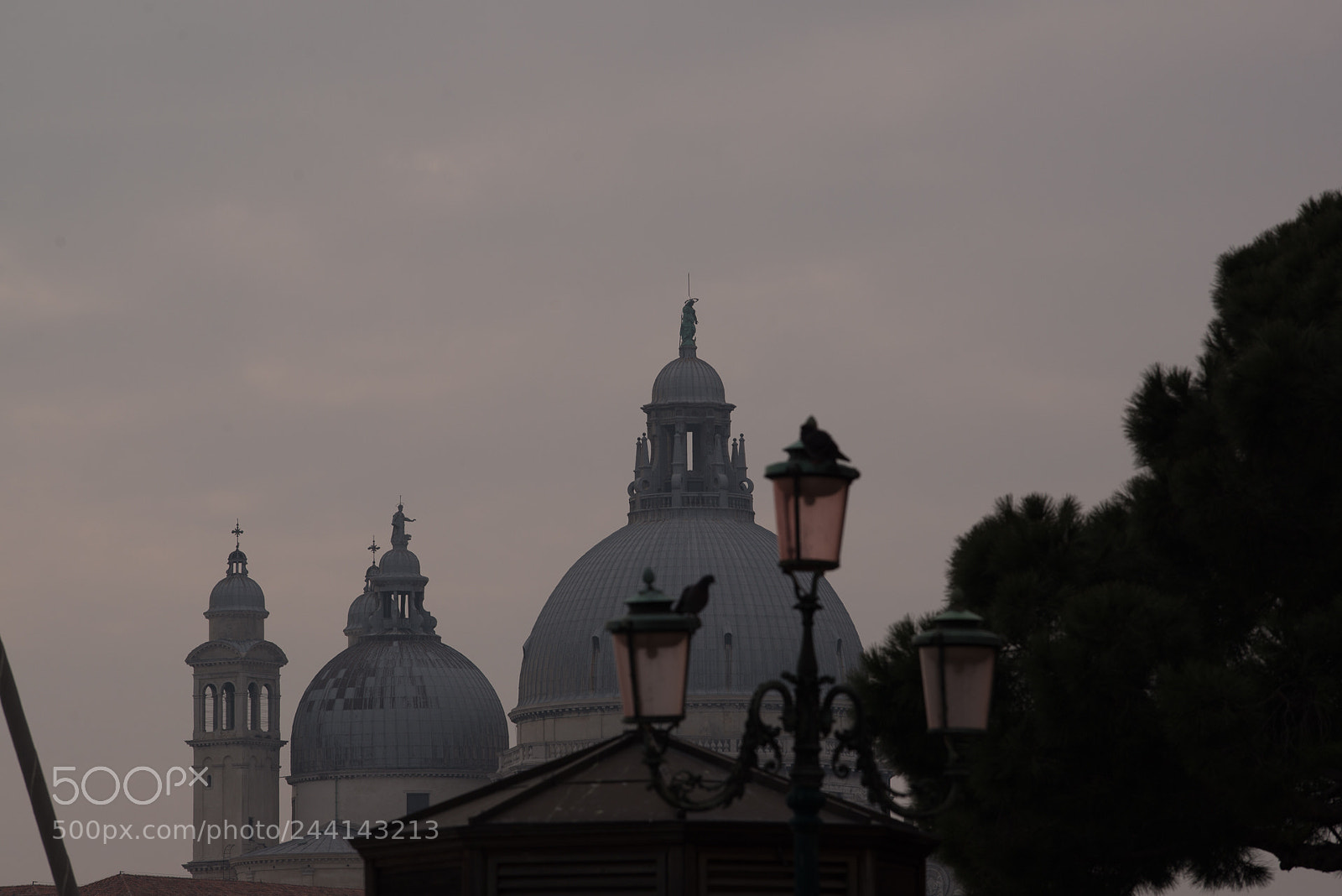 Nikon D800E sample photo. Venice photography