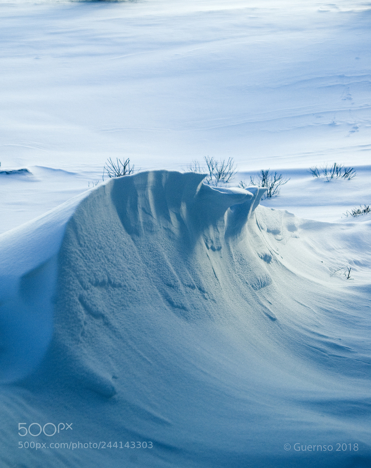 Nikon D70 sample photo. Blue wave photography