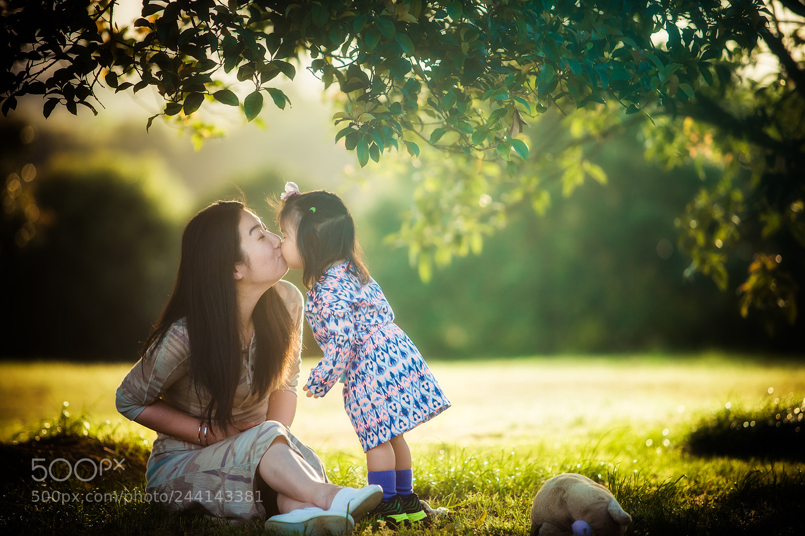 Canon EOS-1D X sample photo. Untitled photography