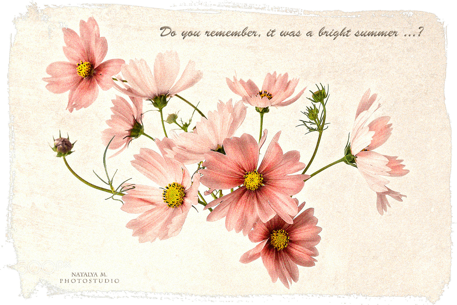 Nikon D610 sample photo. Old postcard photography