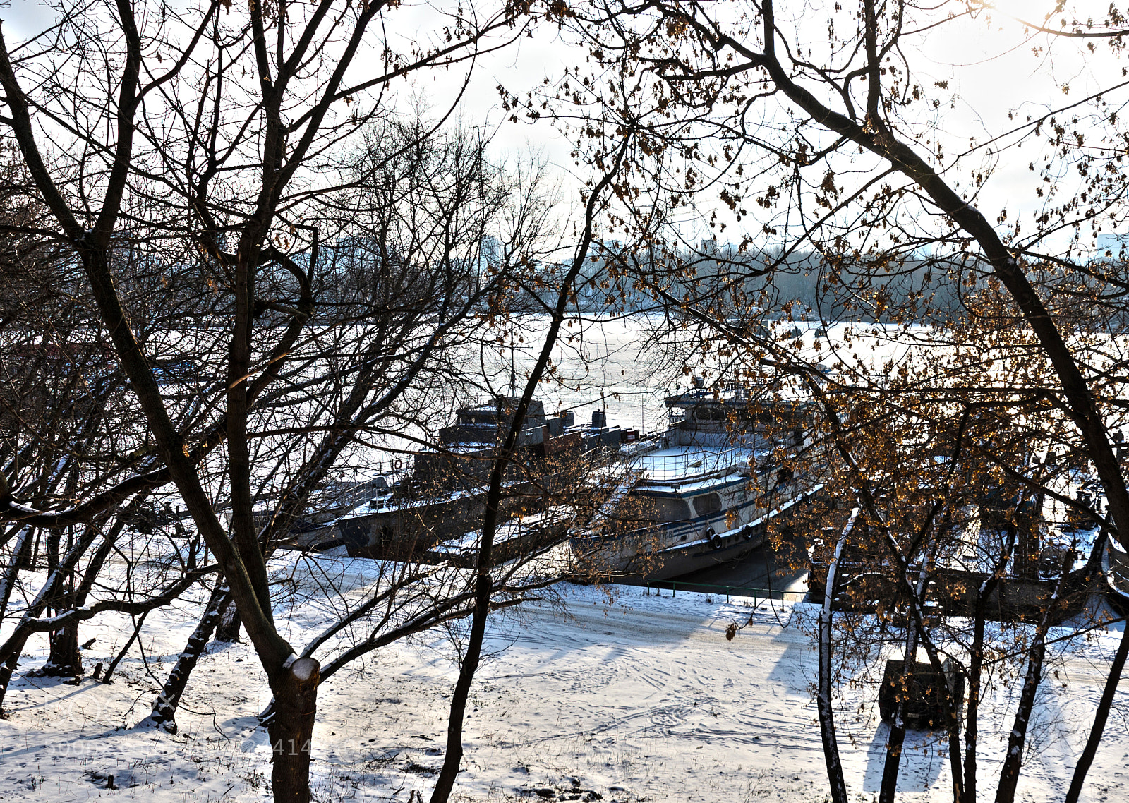 Nikon D5100 sample photo. 306 photography