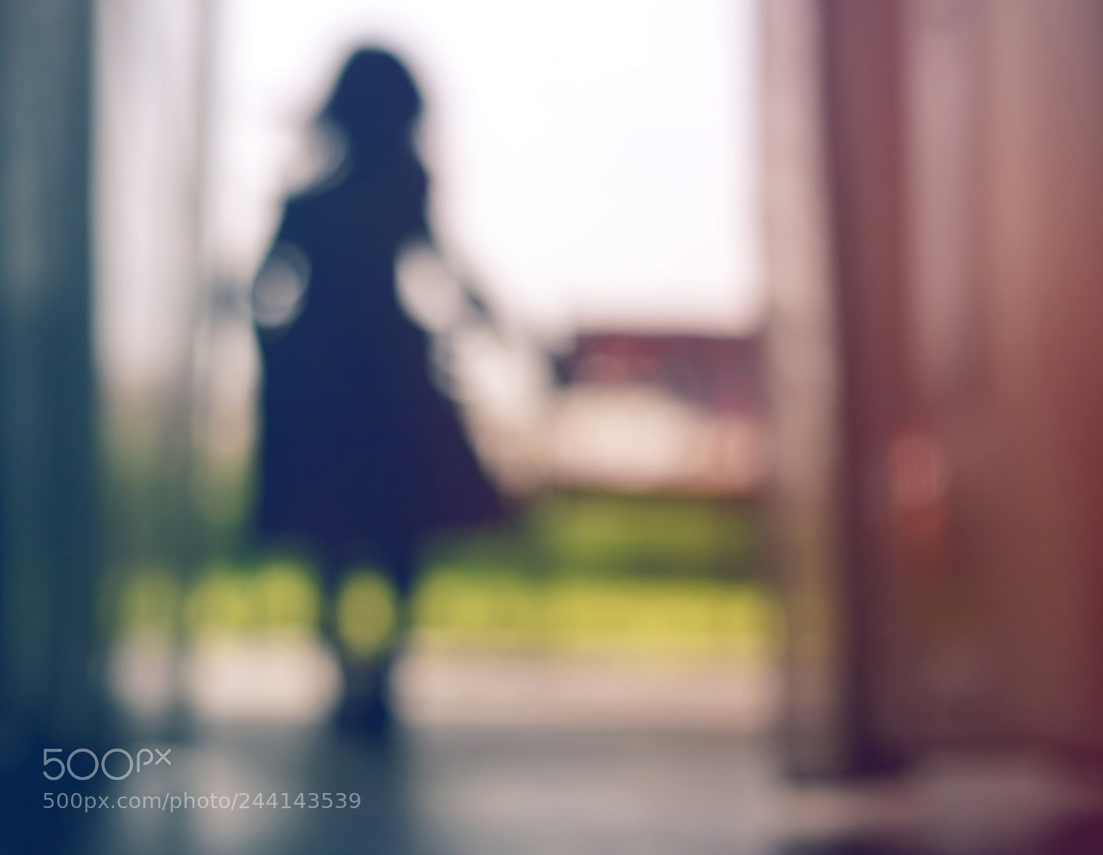 Nikon D800 sample photo. Untitled photography