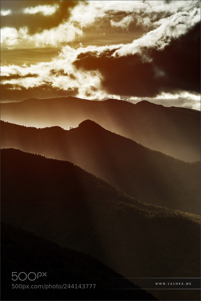 Sony Alpha a99 sample photo. Sun rays lighting through photography