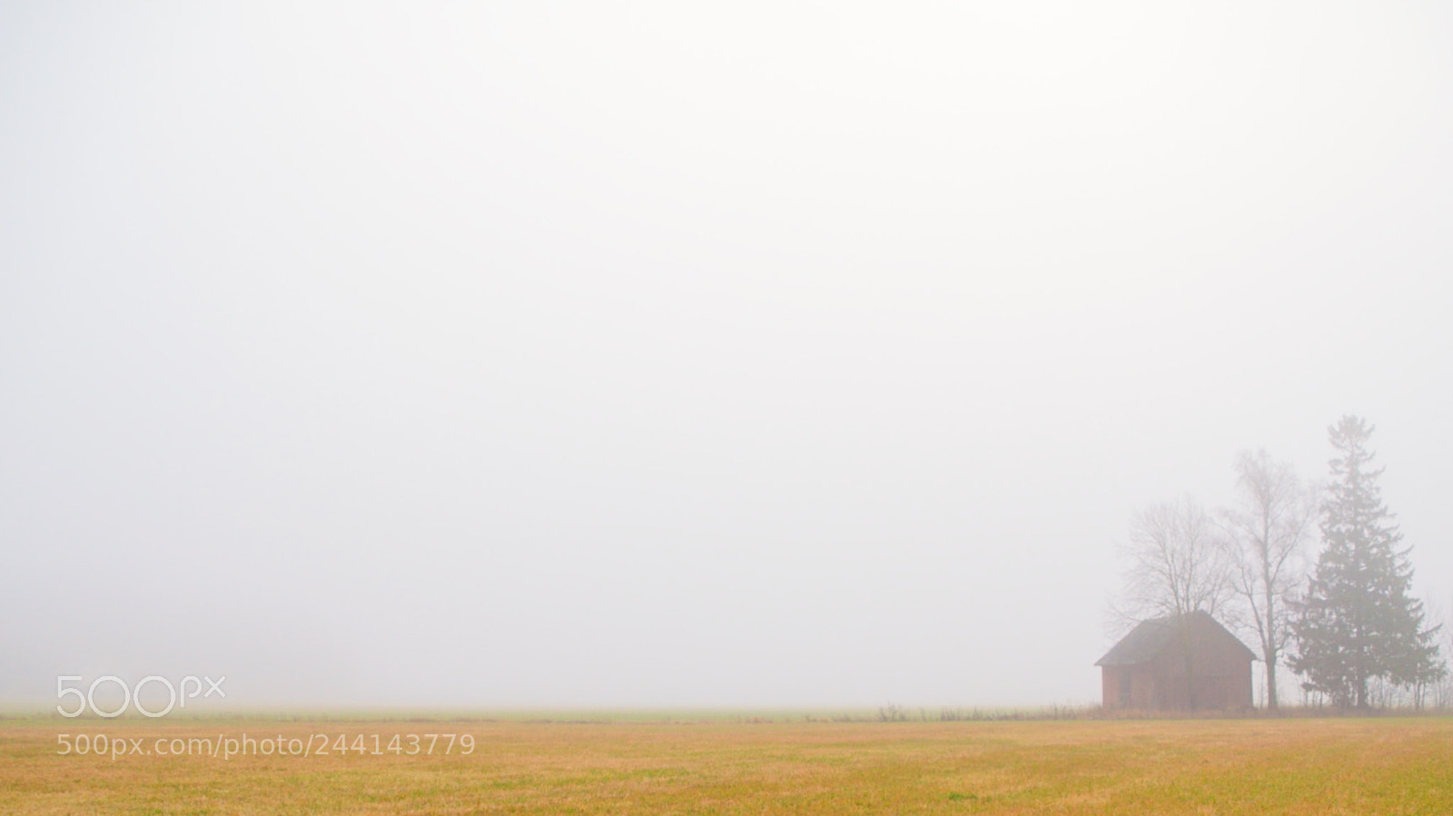 Nikon D90 sample photo. Foggy sunday morning photography