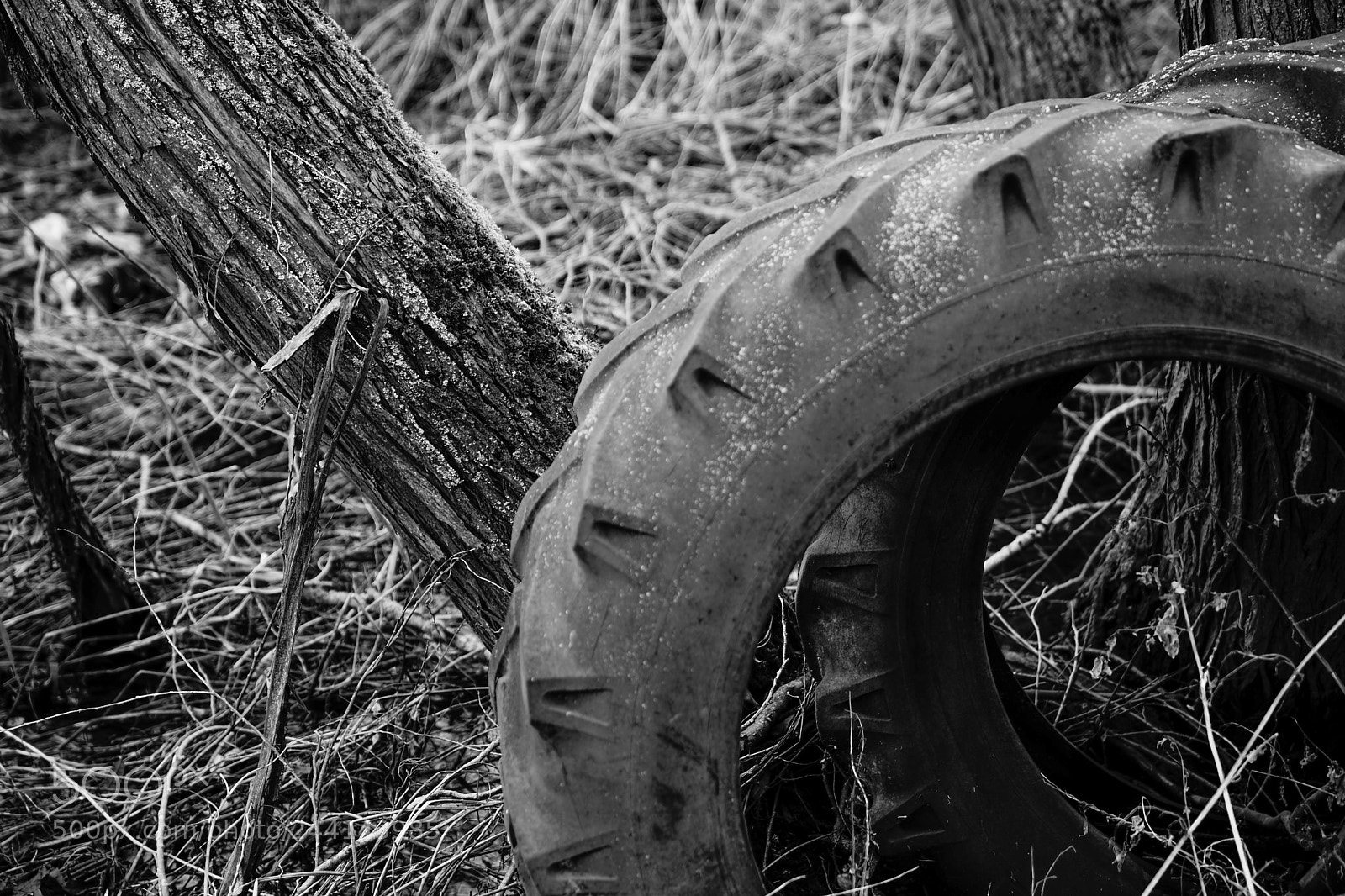 Sony a7R sample photo. Alte traktorreifen photography