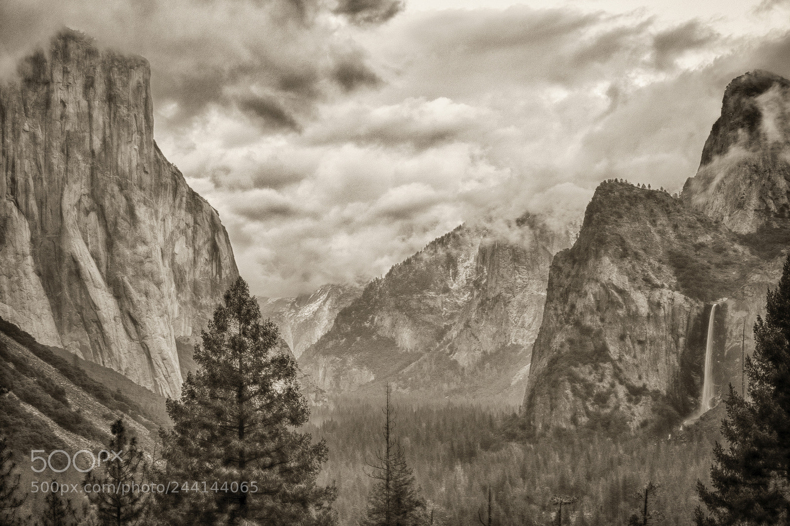Canon EOS-1D X Mark II sample photo. Tunnel view photography