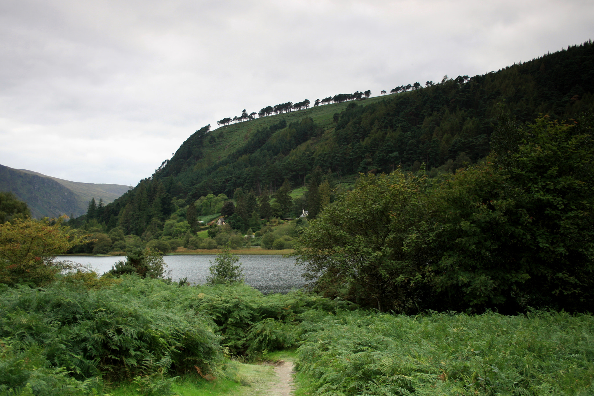 Canon EF-S 18-55mm F3.5-5.6 II sample photo. Cork, ireland photography