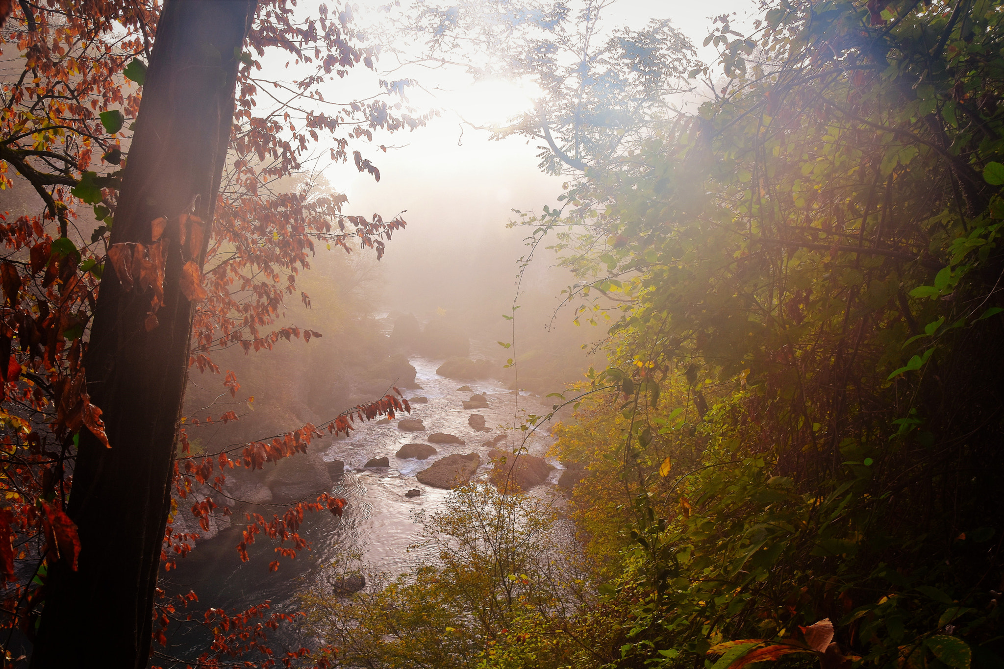 Nikon D5500 sample photo. The light in the canyon photography
