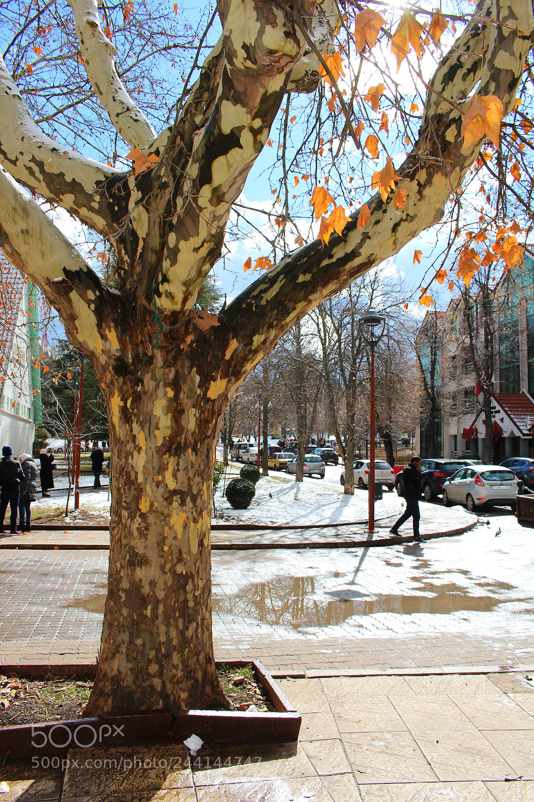 Canon EOS 700D (EOS Rebel T5i / EOS Kiss X7i) sample photo. After snow melts.. photography