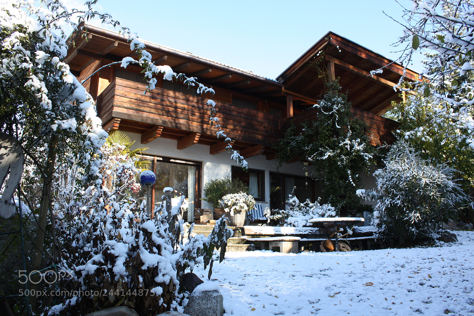 Canon EF-S 18-55mm F3.5-5.6 IS sample photo. Backyard friend view photography