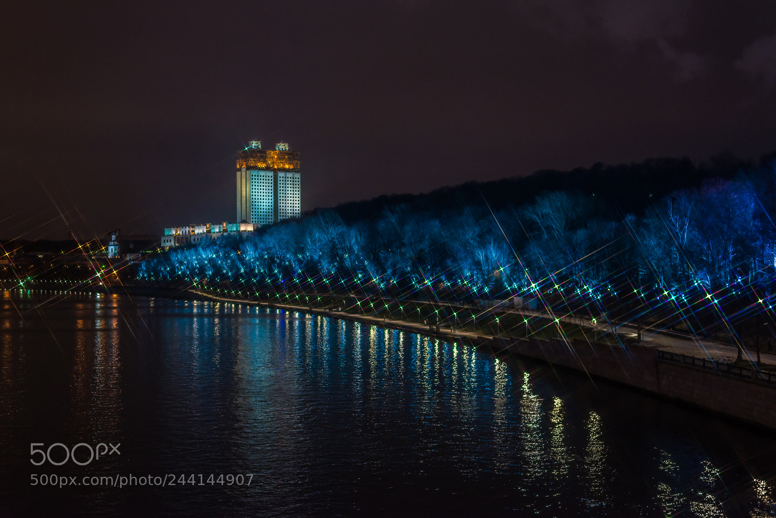 Nikon D610 sample photo. Blue photography