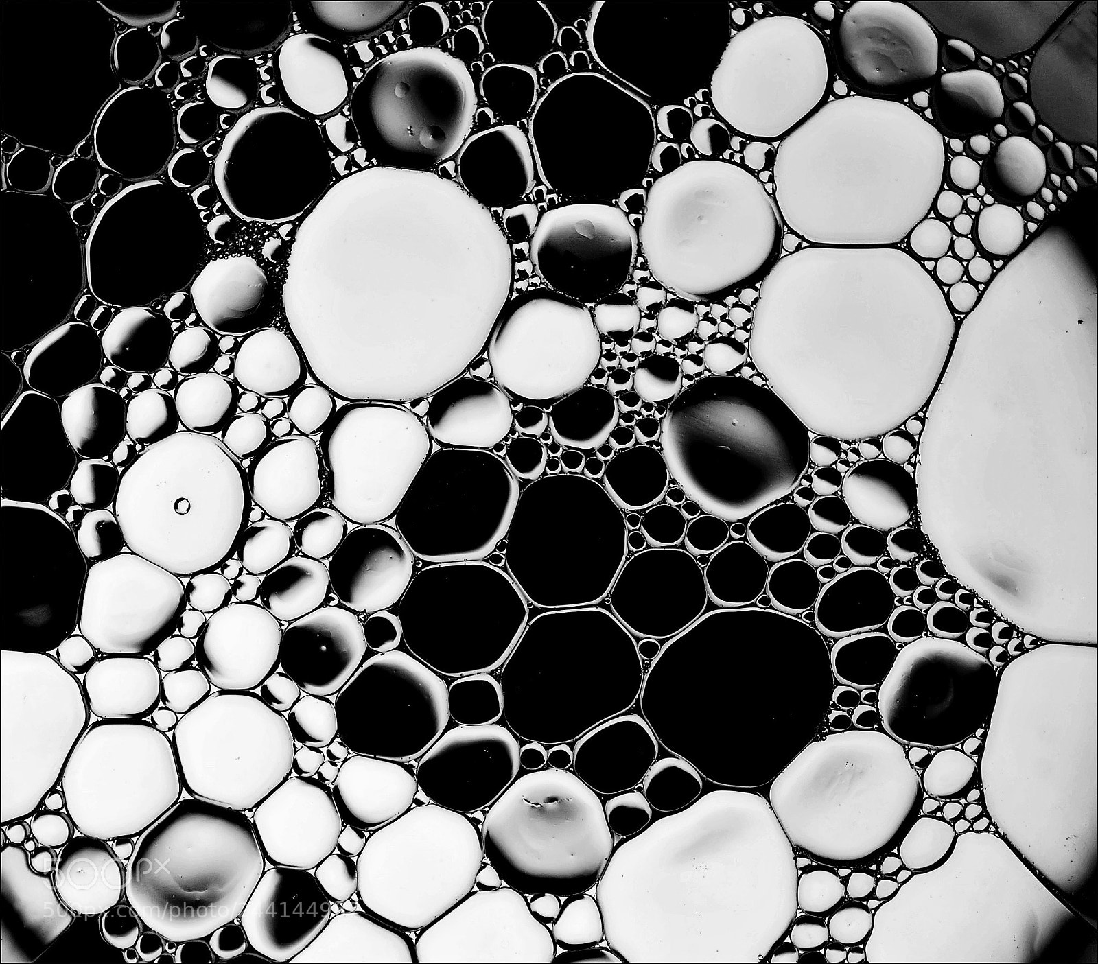 Nikon D90 sample photo. Abstraction photography