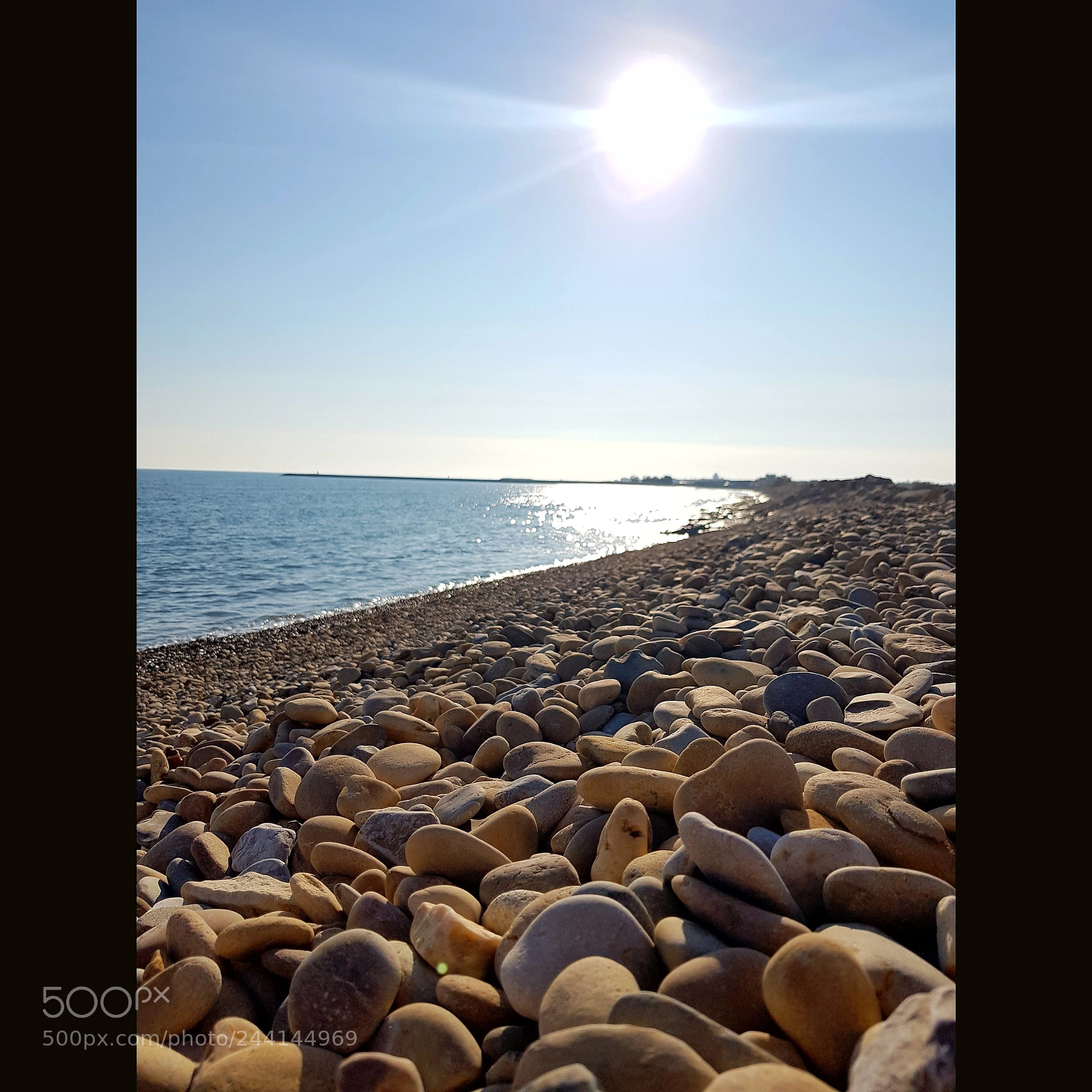 Samsung Galaxy S8 sample photo. Camargue photography