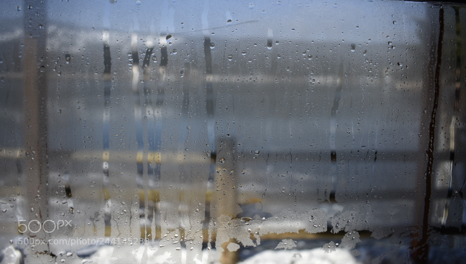 Nikon D3400 sample photo. Untitled photography
