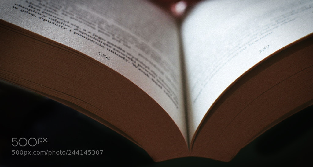 Nikon D3200 + Nikon AF-S DX Nikkor 35mm F1.8G sample photo. *** photography
