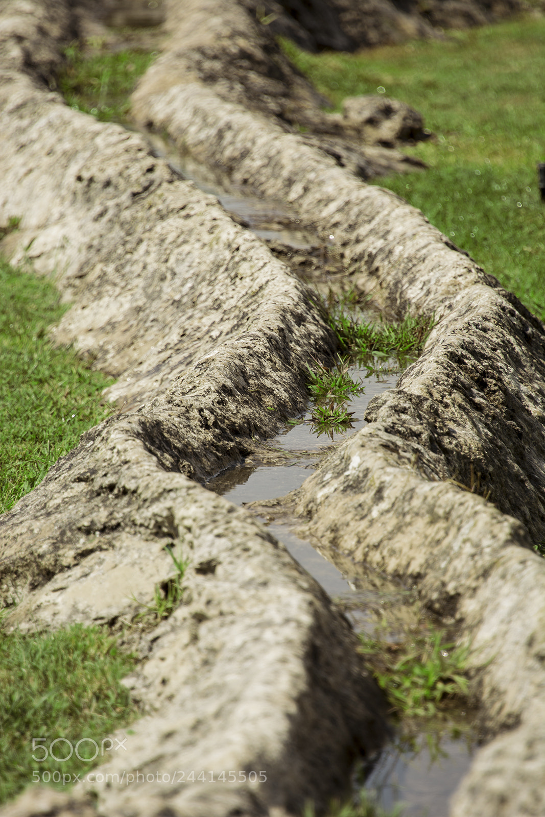Nikon D7100 sample photo. Watercourse photography