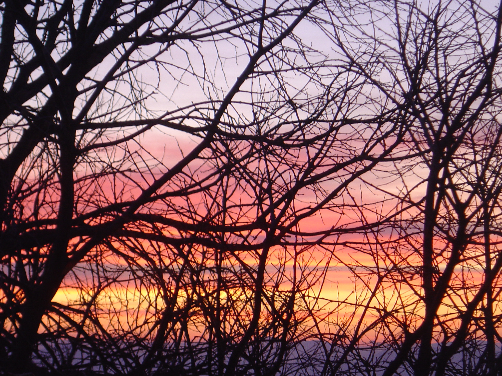 Sony DSC-P92 sample photo. Winter sunset photography