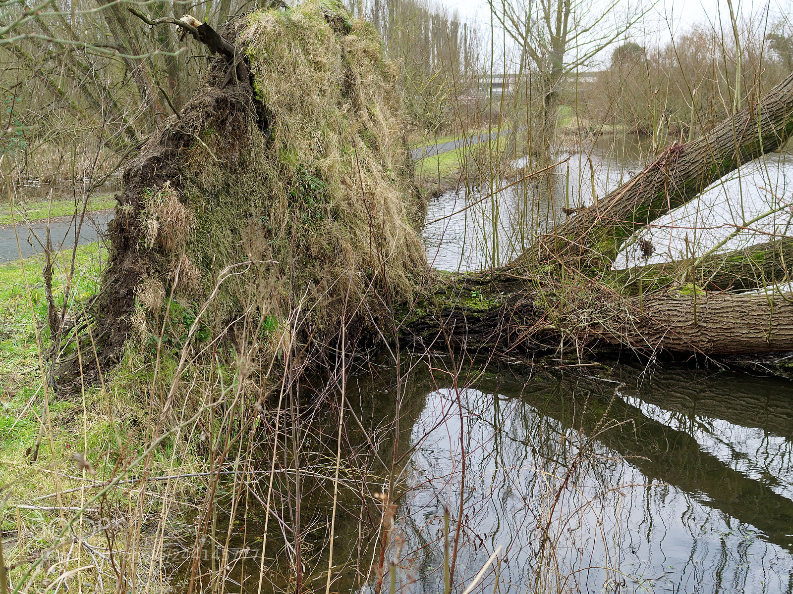 Olympus OM-D E-M5 sample photo. Braunschweig, natur am s photography
