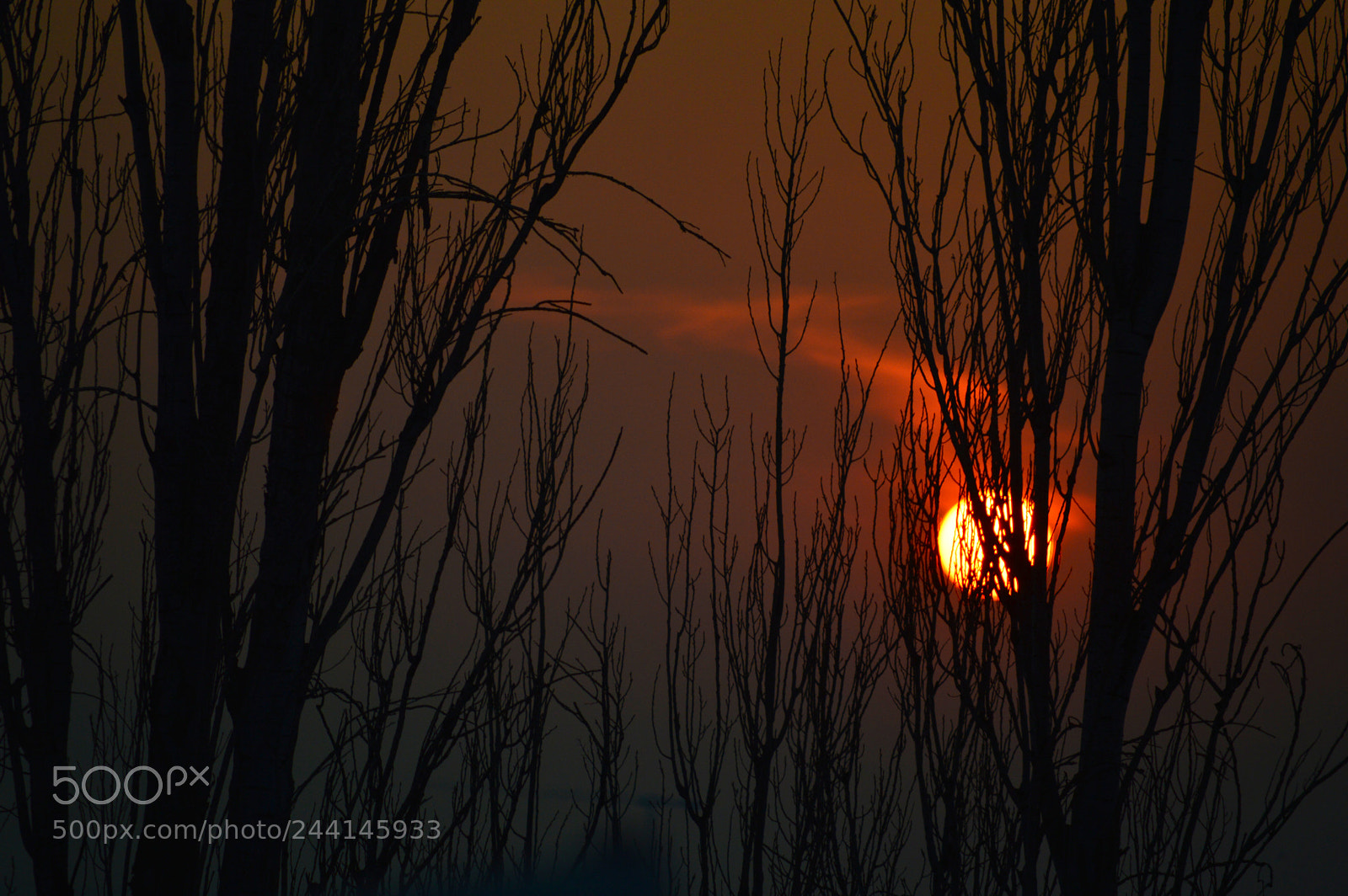 Nikon D3200 sample photo. Sunset... photography